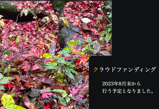 販売開始の予定について 追記